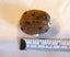 JEWELLERS MUSEUM CARVED WALNUT WOOD OJIME BEAD SIGNED & SET WITH PEARLS & GARNET Carousel 11