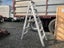 Loading Image 1 of 1