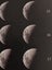 Lunar Calendar 2026 Poster Print (NZ centric) Carousel 2