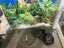 Aquarium (130 Litre) and Accessories Carousel 3