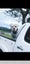 American bulldog pups Carousel 9