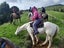 equestrian Carousel 4