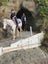 equestrian Carousel 5