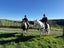 equestrian Carousel 6