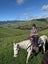 equestrian Carousel 8