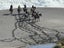 equestrian Carousel 15