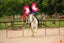 equestrian Carousel 17
