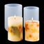 2pcs Resin Moulds Silicone Candle Molds Carousel 1