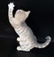 CURIOUS KITTEN STRETCHING - CA05368 -COUNTRY ARTISTS Carousel 3