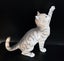 CURIOUS KITTEN STRETCHING - CA05368 -COUNTRY ARTISTS Carousel 4