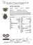 Rolex GMT-Master II 116713LN Watch Carousel 3
