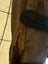 2.5m Solid Seaside Totara Wood Slab – Rare NZ Native Hardwood Carousel 3