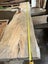 2.5m Solid Seaside Totara Wood Slab – Rare NZ Native Hardwood Carousel 13