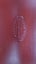 Gumteee steal trunk good condition emaculate inside semi heavy Carousel 6
