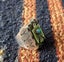 Vintage Navajo Solid Silver Thunderbird Ring-Blue Turquoise Carousel 5