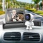 Dual Car Camera Baby Monitor Carousel 5