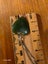 $1 Vintage Ponamu Greenstone Heart Pendant on 835 Sterling Box Chain 5.87gm Carousel 8