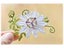 Piggy Craft Metal Cutting Dies Cut Die Mold New Flower Leaf Scrapbook Paper Carousel 1