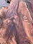 Swamp Kauri Matched Small Stump Slabs – Set of 5 Carousel 5