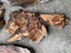 Swamp Kauri Matched Small Stump Slabs – Set of 5 Carousel 10