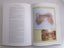 **FRENCH KNOT PICTURES - CHRISTINE HARRIS (EMBROIDERY PROJECTS, HARDCOVER) Carousel 15