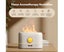 Simulation Flame Aroma Air Humidifier Desktop 2-in-1 Mist Humidifier & Aromat Carousel 4
