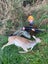Guided Hunting - Closest hunting to Auckland City Carousel 2