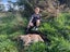 Guided Hunting - Closest hunting to Auckland City Carousel 3