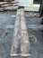 Black Maire Timber – 4.11m Total (2 Pieces: 152x55mm) Carousel 7