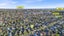 gallery view thumbnail
