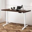 Motorised Standing Desk Height Adjustable Electric Sit Stand Table 120cm Carousel 7