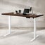 Motorised Standing Desk Height Adjustable Electric Sit Stand Table 120cm Carousel 8