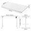 Motorised Standing Desk Height Adjustable Electric Sit Stand Table 120cm Carousel 3