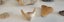 ANTIQUE ESTATE FOSSIL ITEMS Carousel 4