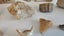 ANTIQUE ESTATE FOSSIL ITEMS Carousel 3