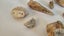 ANTIQUE ESTATE FOSSIL ITEMS Carousel 8