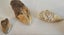 ANTIQUE ESTATE FOSSIL ITEMS Carousel 10