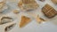 ANTIQUE ESTATE FOSSIL ITEMS Carousel 12