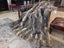 New KING Blanket Natural Grey Real NZ Possum Full Fur Throw - No Reserve! -B6522 Carousel 2