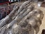New KING Blanket Natural Grey Real NZ Possum Full Fur Throw - No Reserve! -B6522 Carousel 3