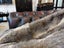 New KING Blanket Natural Grey Real NZ Possum Full Fur Throw - No Reserve! -B6522 Carousel 5
