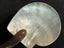 Vintage Mother Of Pearl Shell And Horn Spoon Carousel 3