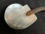 Vintage Mother Of Pearl Shell And Horn Spoon Carousel 5