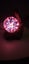 Plasma ball Carousel 1