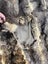 Possum Fur Full Bed Throw Clearance Sale Carousel 4