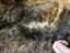 Possum Fur Full Bed Throw Clearance Sale Carousel 5