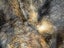 Possum Fur Full Bed Throw Clearance Sale Carousel 6