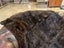 New Single Dark Brown Real NZ Sheared Possum Full Fur Throw - No Reserve! -B6507 Carousel 3
