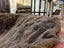 New Single Dark Brown Real NZ Sheared Possum Full Fur Throw - No Reserve! -B6507 Carousel 4