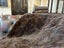 New Single Dark Brown Real NZ Sheared Possum Full Fur Throw - No Reserve! -B6507 Carousel 5